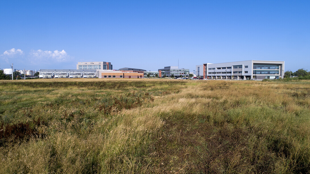 Celerion is moving into space on the first level of the Rise Building on Nebraska Innovation Campus this month.