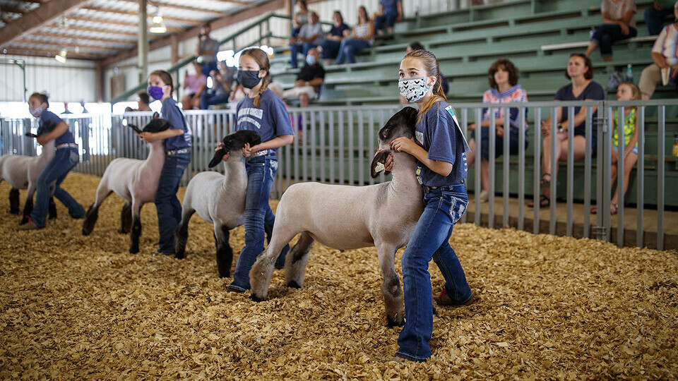 County fair