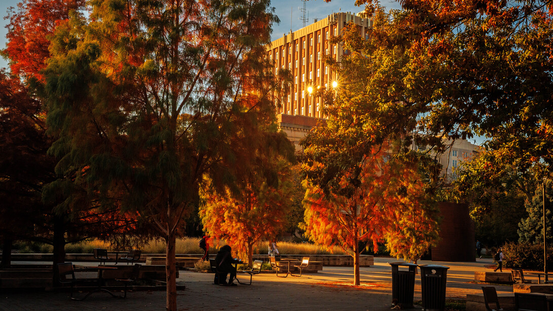 The trees on the plaza north of the Adele Hall Learning Commons are decked out in fall colors.