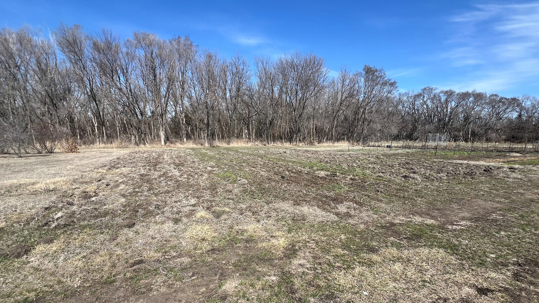 A clearing with trees behind it on a partly cloudy day.