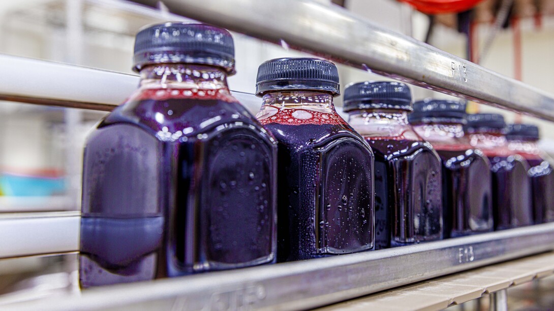 Six bottles of deep purple aronia juice sit in a line.