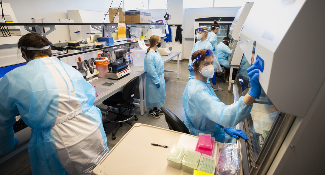 Rebecca Wehling and others work in the COVID-19 testing lab at the Veterinary Diagnostic Center Jan. 20, 2021. The lab was transformed from a storeroom in an area that the VDC designed for future expansion. Saliva-based diagnostic testing program is managed by the university through lab space in the Veterinary Diagnostic Center. 