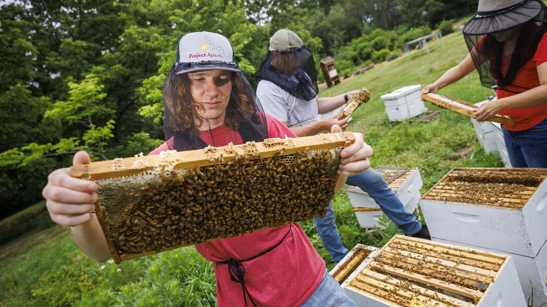 Rogan Tokach, a graduate student in entomology, is focused on helping bees through his research. His work includes studies through the UNL Bee Lab.