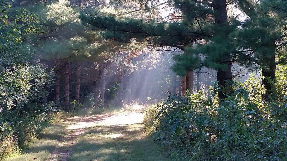Prairie Pines Arboretum Trail