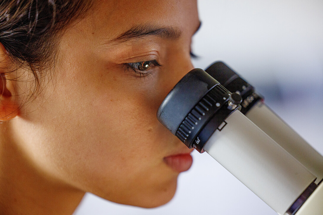 Maricela Zamora, an incoming UNL freshman from Lincoln, works on her research.