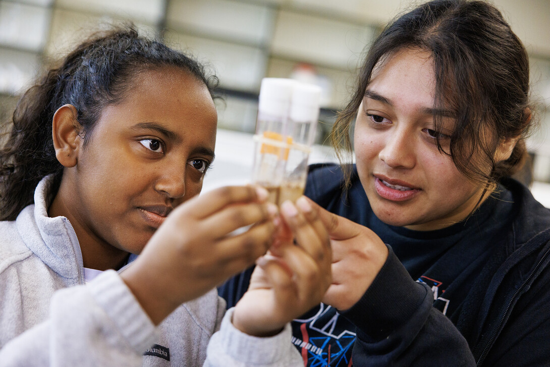 Segen Yosief and Alejandra Moreno, incoming freshman from Lincoln, look over fruit fly samples as part of their summer research.