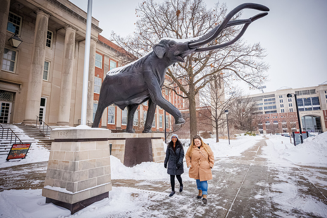 Museum guests walk under Archie the Mammoth.