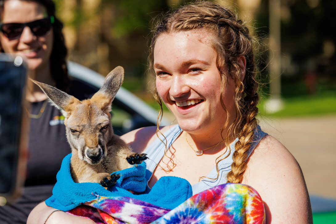 Emma Dierks, a freshman Psychology major, holds a joey from Wildlife Encounters in Lincoln, NE during the End of Year Bash Celebration on East Campus.