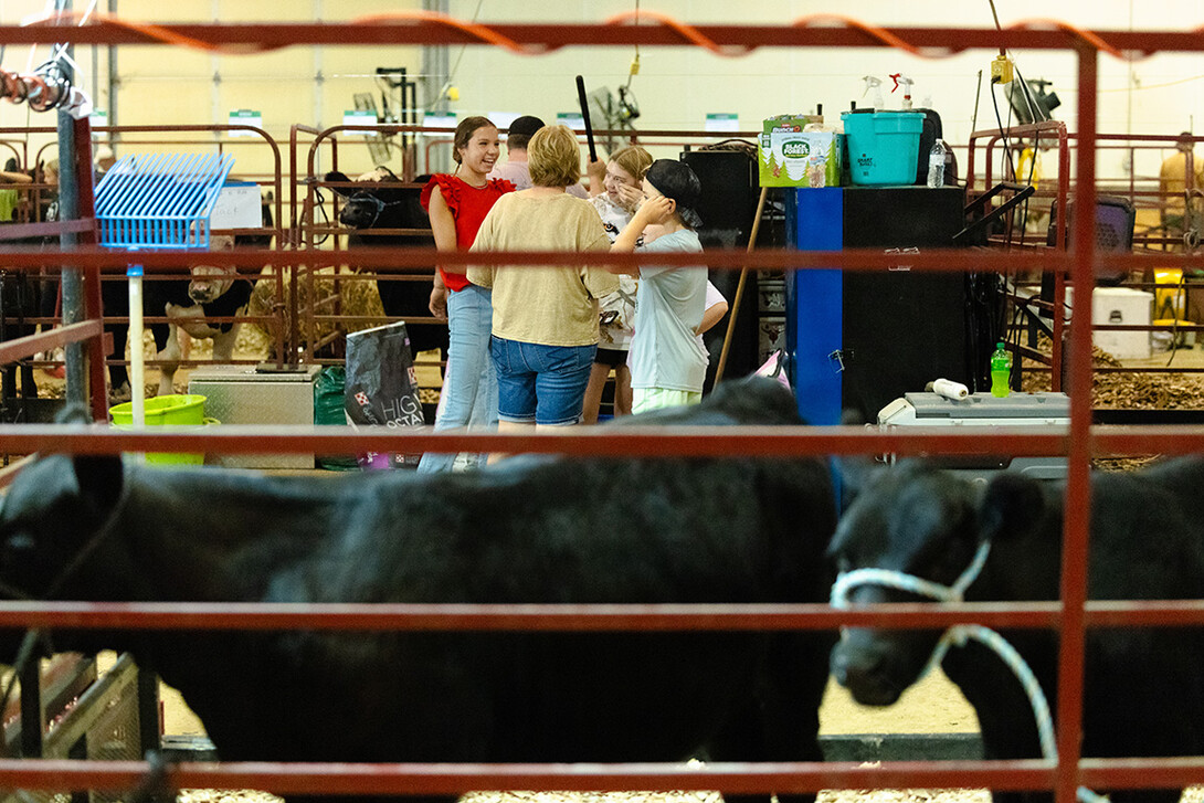 A group of 4-H competitors chat at the edge of the cattle barn just before livestock entry at the Otoe County Fair on Thursday, July 31.