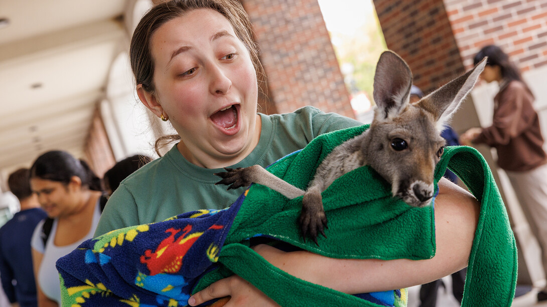 Kenzie Sunday reacts as she holds Sydney the Kangaroo during the Wildlife Encounters Petting Zoo.