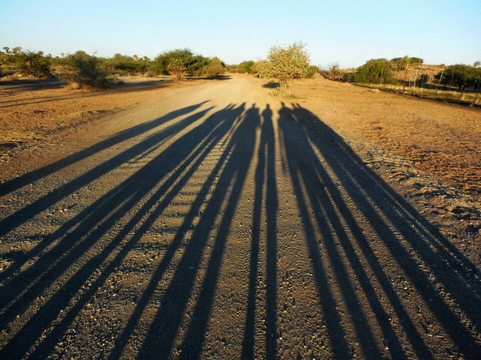 Shadows of Natural Resources students and faculty who went on a summer study abroad trip stretch across an African road. The program, led by Mark Pegg and Larkin Powell, featured study of the ecology of Namibia.