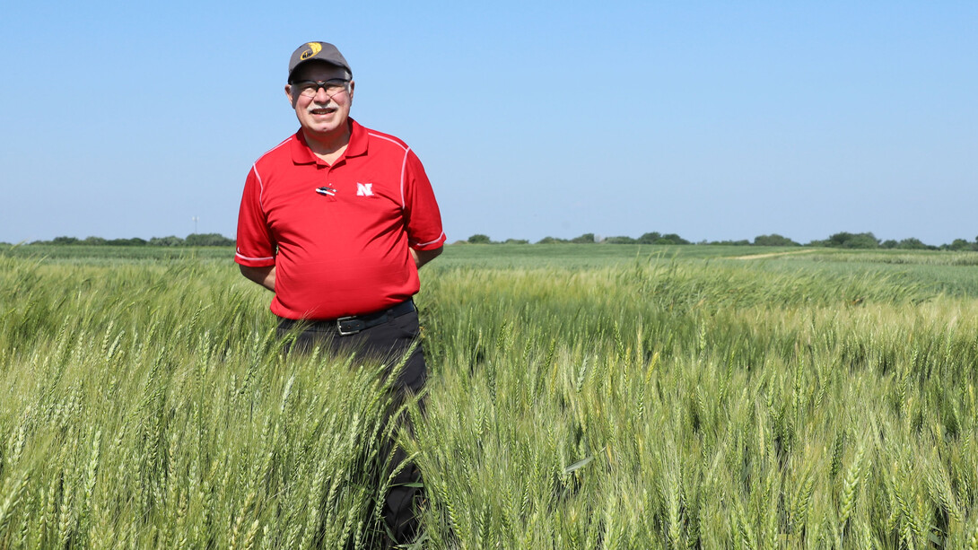 P. Stephen Baenziger will retire May 3 after 35 years of service to the university. Lana Koepke Johnson | Agronomy and Horticulture