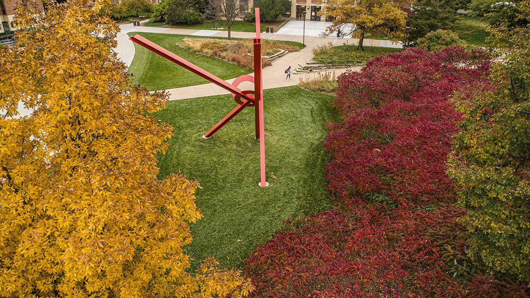 Campus Trees