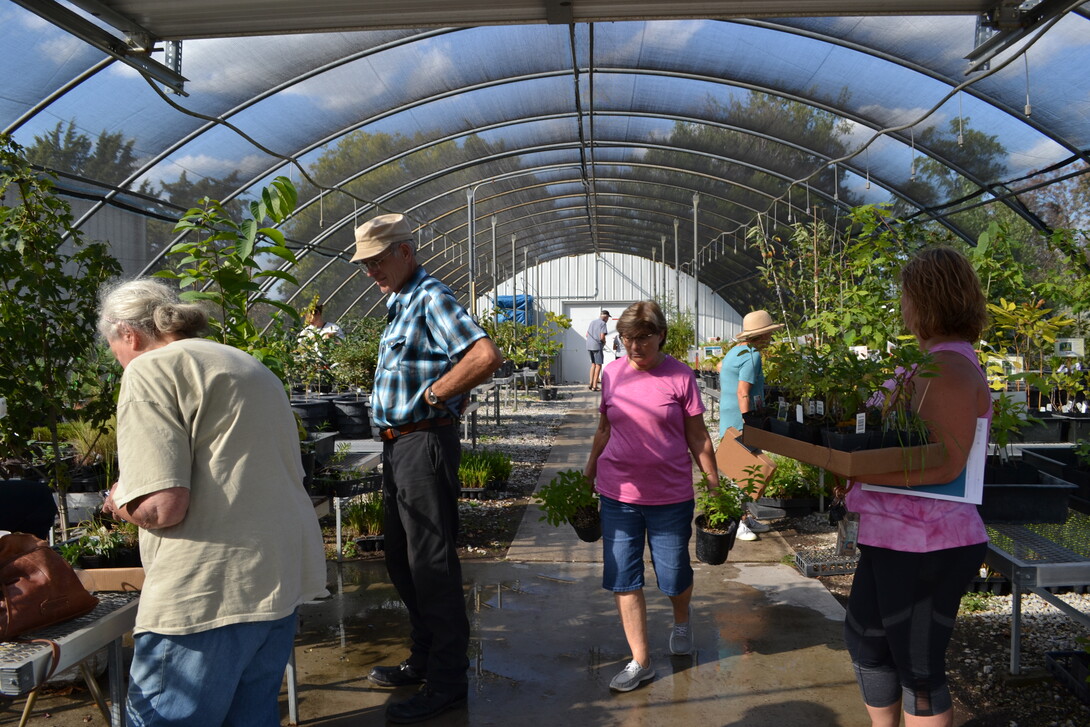 NSA's October plant sales will offer native perennials, herbs, trees and shrubs. 