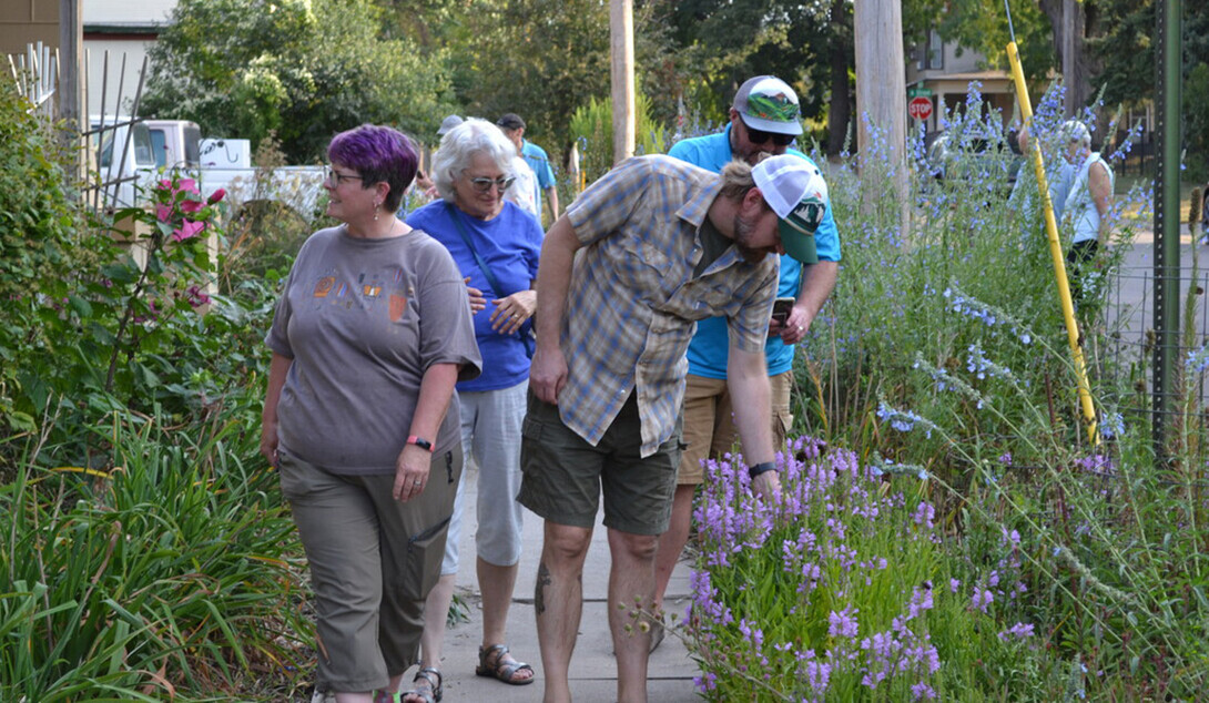 Participants stroll through a garden of native grasses and flowers on a Garden Walk.