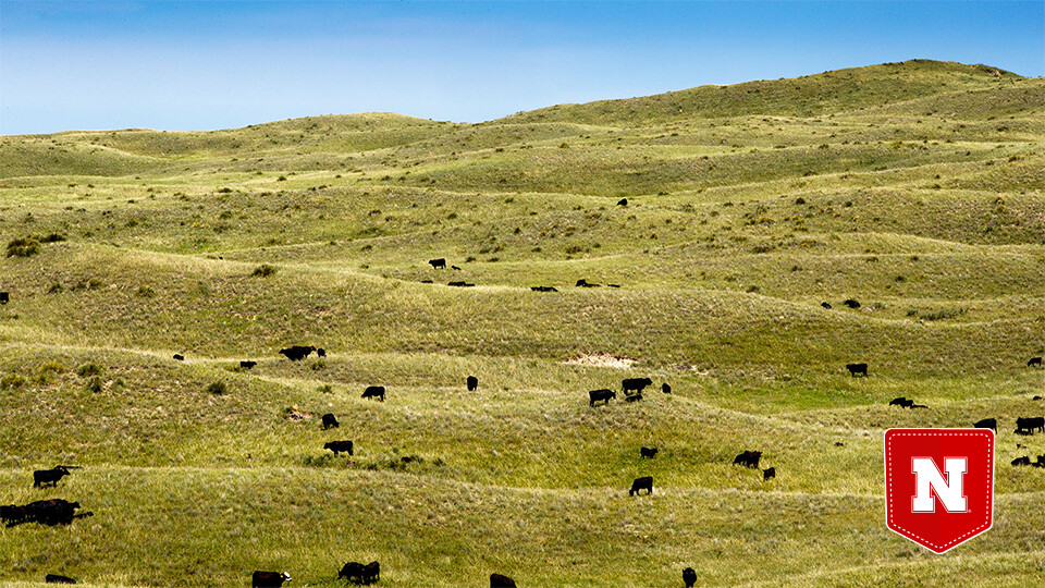 Nebraska Sandhills