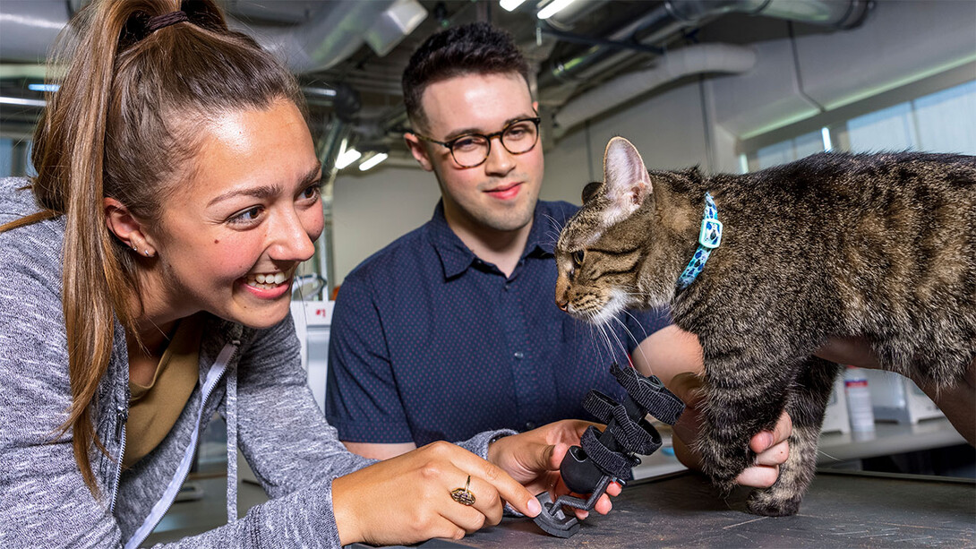 Abby Smith, Harrison Grasso and Olive the cat