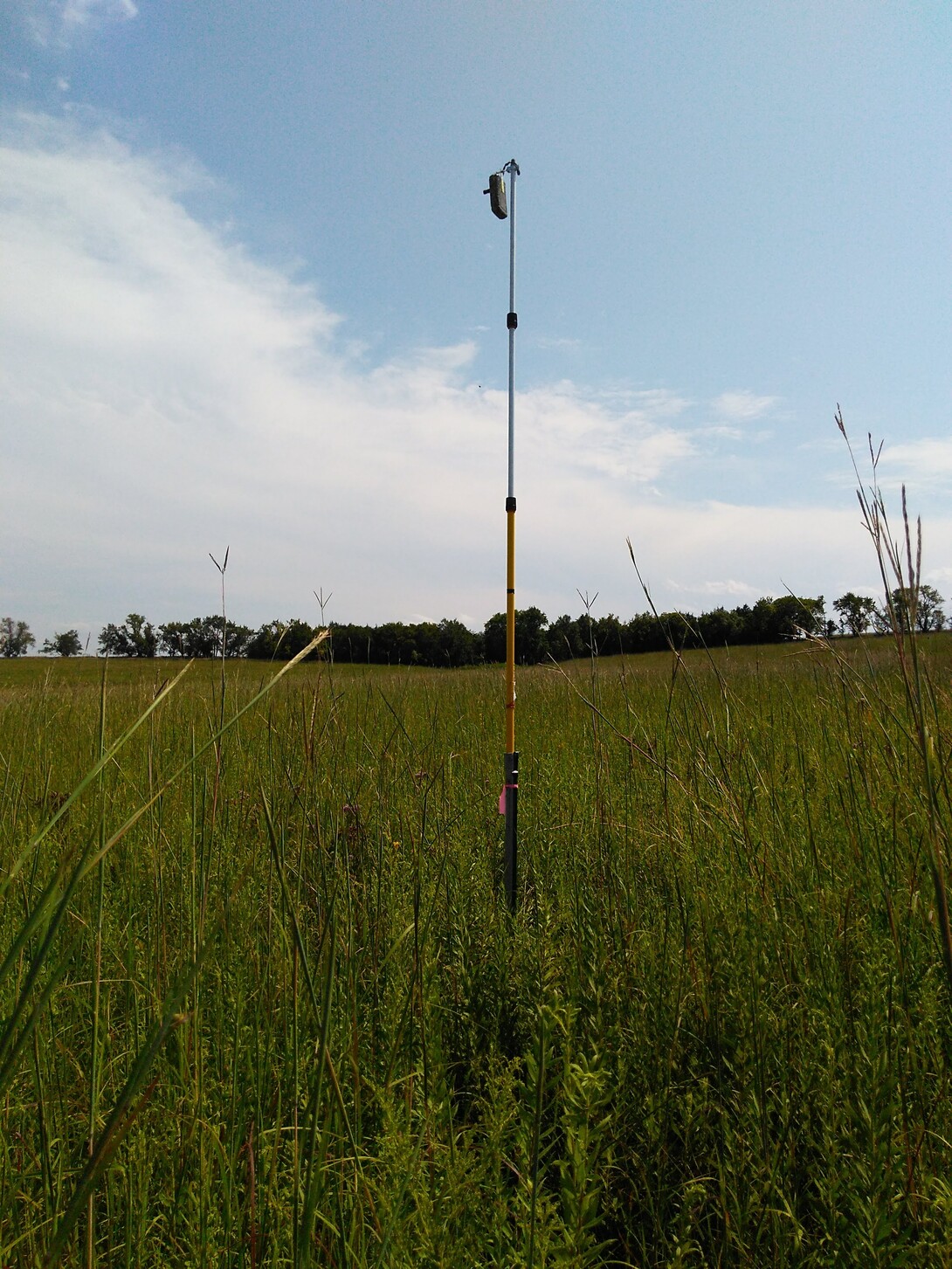 One of the bat detectors Christopher Fill set up at Homestead Monument in summer 2018.