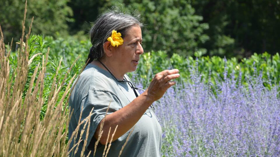 Nebraska's Emily Levine leads a tour of the gardens on East Campus. The tour is part of a free, monthly series held on the first Tuesday of the month through November.