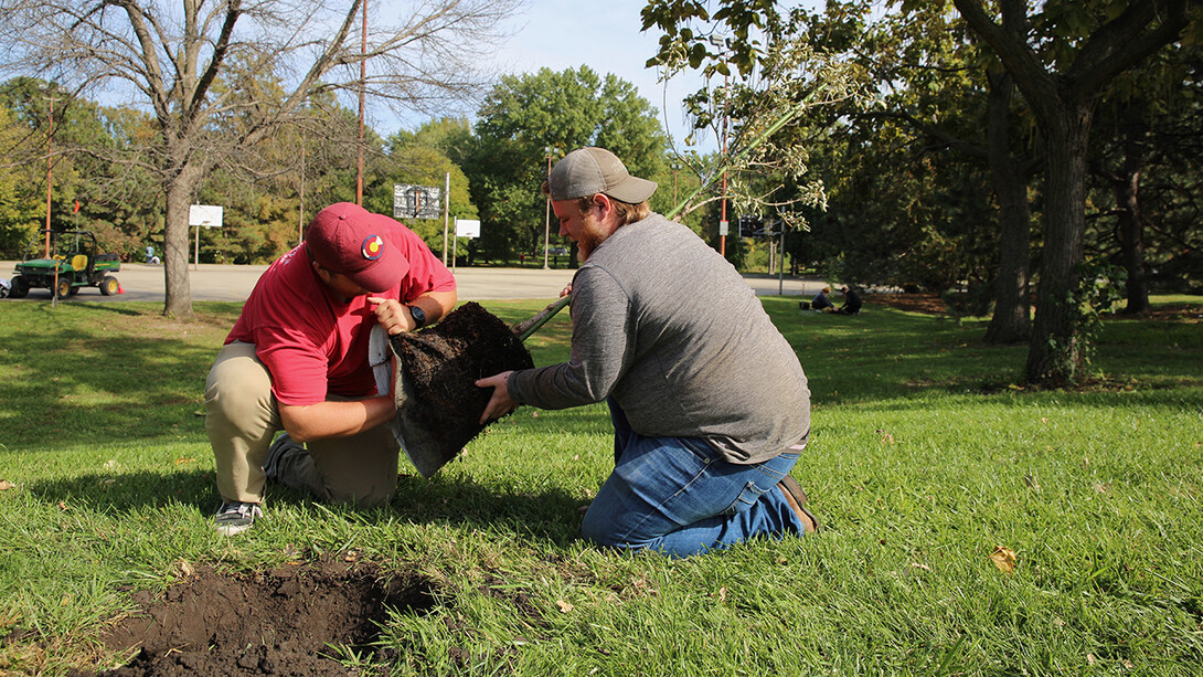 Tree planting