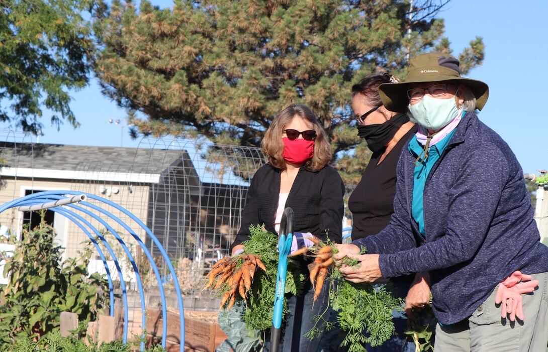 Community gardening