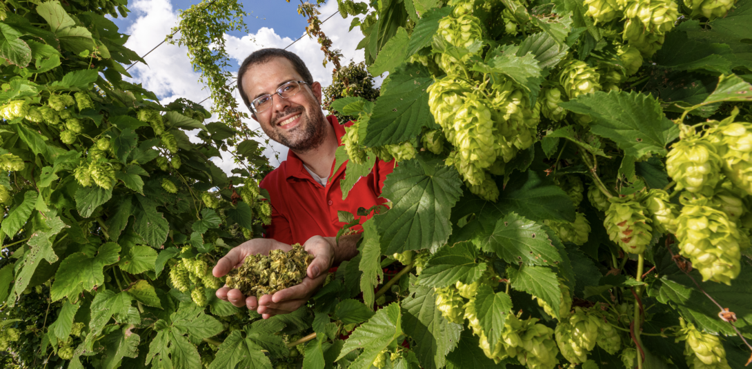 Nebraska reseracher David Mabie holding hops plants