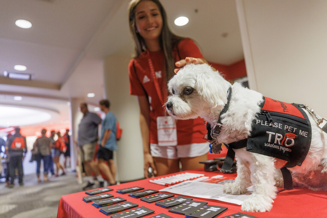 Therapy dog at the University of Nebraska–Lincoln named Neo