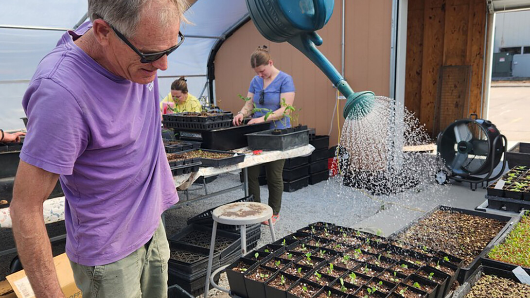 guy watering plants.