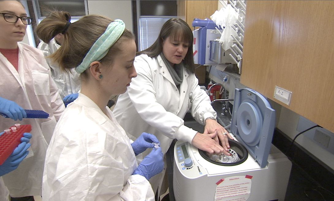 Ashley Hall, assistant professor of Forensic Science in entomology, works with her lab class on DNA analysis.