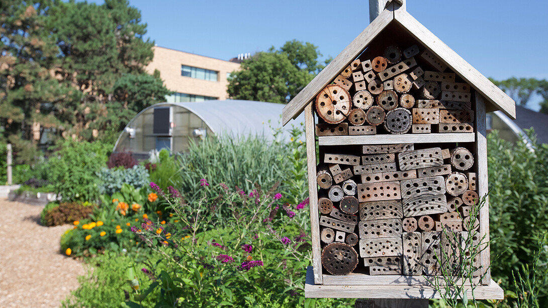 House for bees