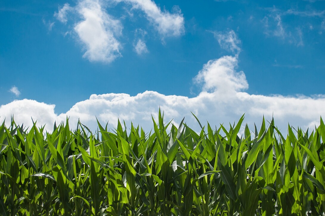 The purpose of an upcoming meeting is to allow interested stakeholders to share their views on herbicide registrations.