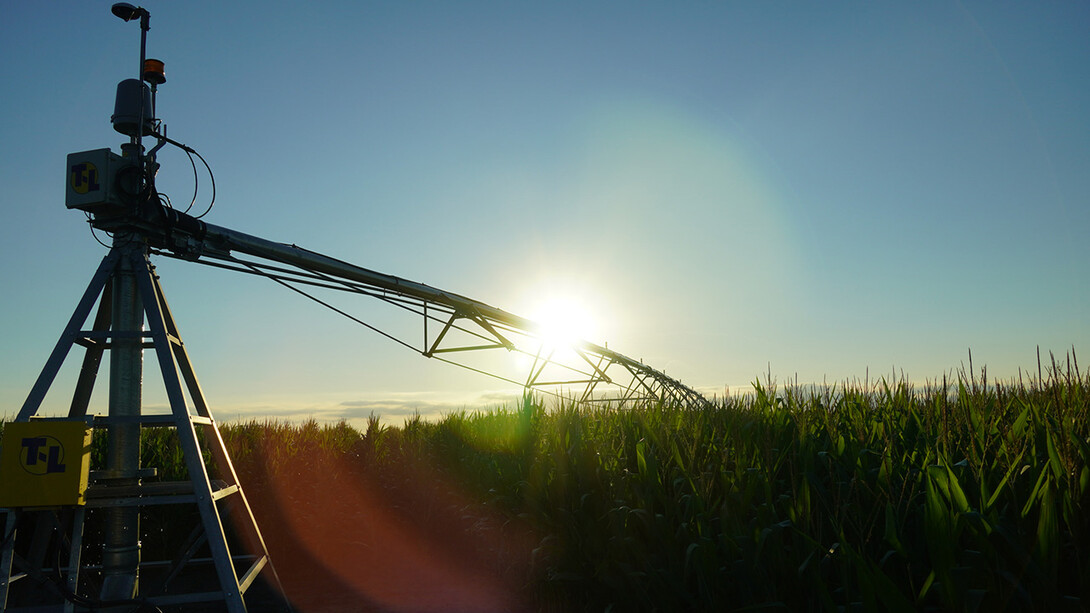 crop-Sunrise Over Irrigation Pivot Corn