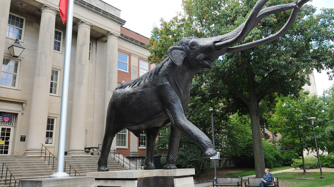 The University of Nebraska State Museum in Morrill Hall is participating in the Blue Star Museum program, offering free admission to active military duty personnel and families.