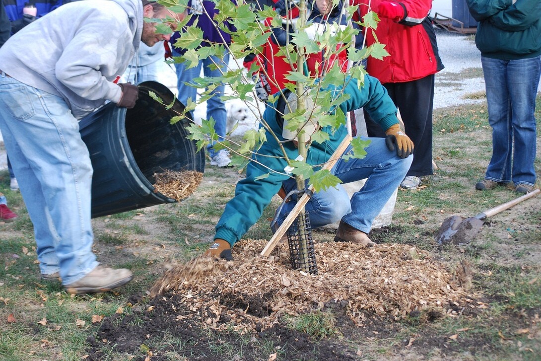 Trees are one of the most important resources of Nebraska communities. Investing in tree-planting and care reap tangible economic benefits in the form of energy savings and real estate values. 