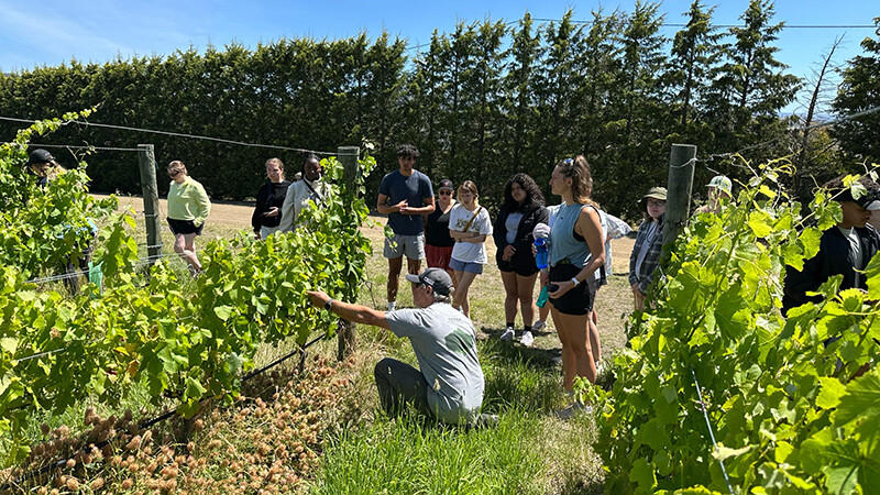 Steve Lubiano shows Nebraska students a biodynamic winery that makes wine without synthetic treatments, additives or pesticides. Everyone is dressed in casual warm-weather clothes and hats.